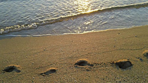 Free stock photo of beach, beach front, beach sunset