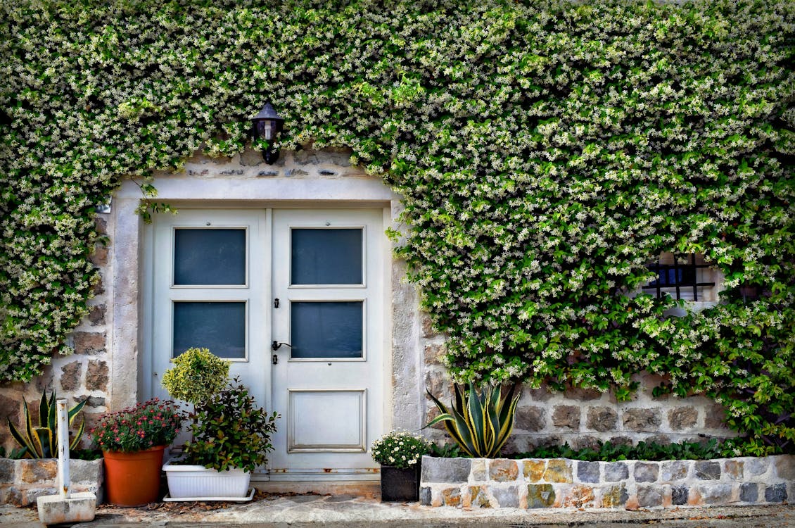 Foto profissional grátis de aparência, calçamento, casa