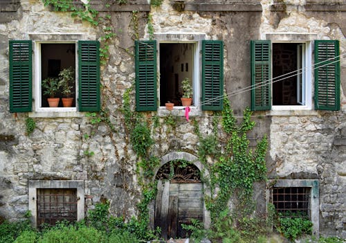 Immagine gratuita di abbandonato, edera, edificio