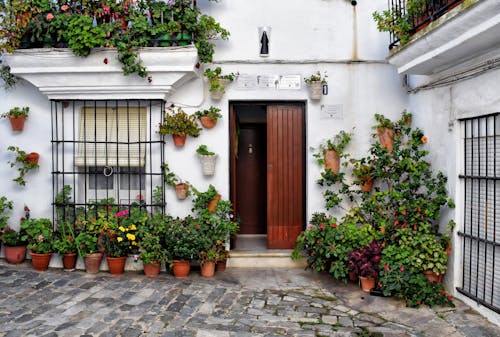 A Brown Wooden Door Near the Green Plants