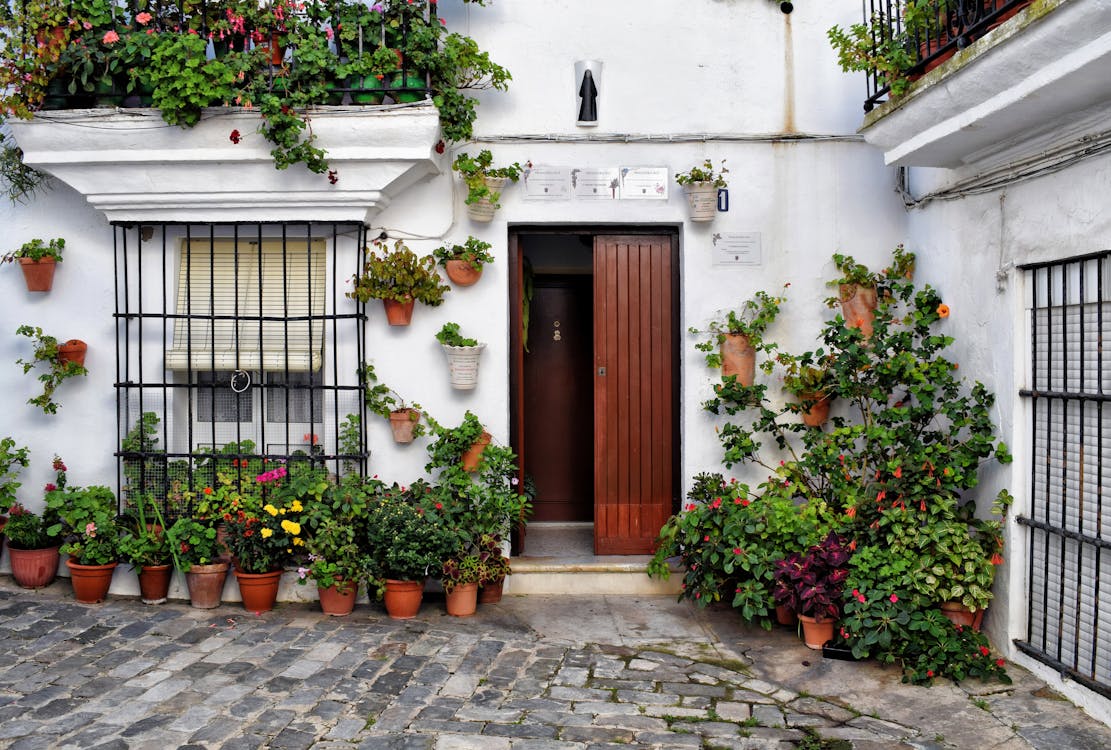 Free Beautiful Andalusian courtyard with vibrant potted plants and wooden door in Vejer de la Frontera, Spain. Stock Photo