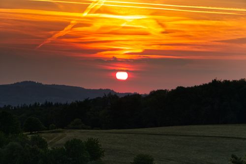 Free A vibrant sunset with golden hues over a tranquil field and forest, capturing nature's serene beauty. Stock Photo
