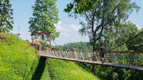 Безкоштовне стокове фото на тему «вілянді, Естонія, зір»