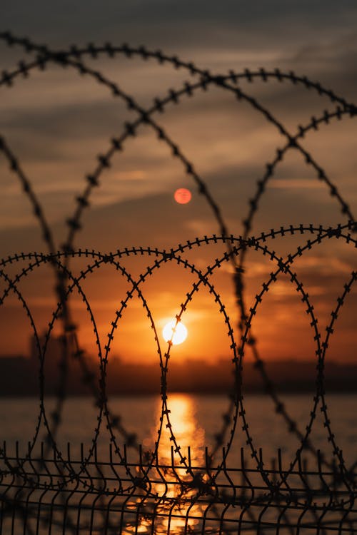 Free stock photo of anguish, barbed wire, barrier Stock Photo