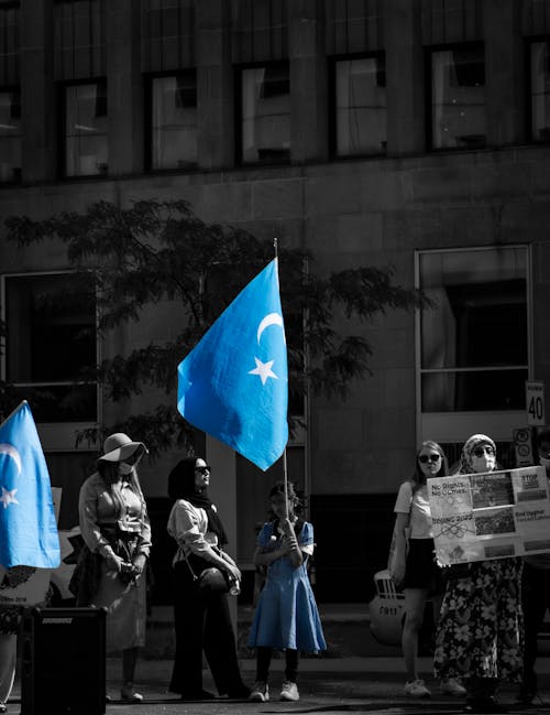 Free stock photo of demonstration, freedom, protestors