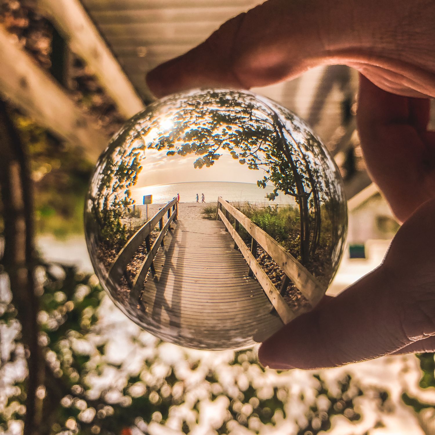 Shallow Focus Photo Of Glass Ball · Free Stock Photo