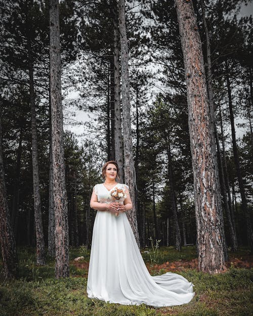 Ilmainen kuvapankkikuva tunnisteilla aikuinen, elegantti, glamour