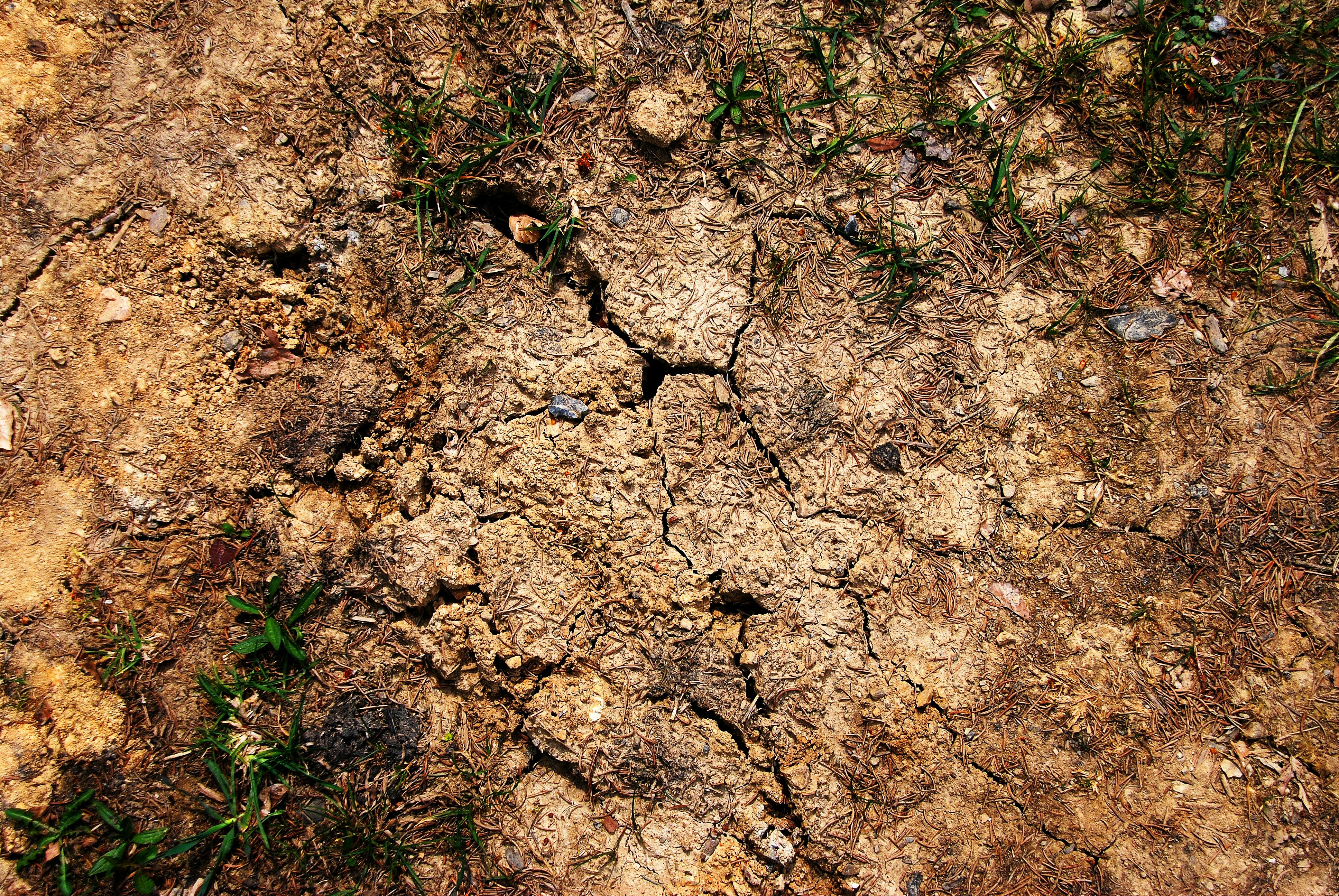 Free stock photo of cracked, earth, ground