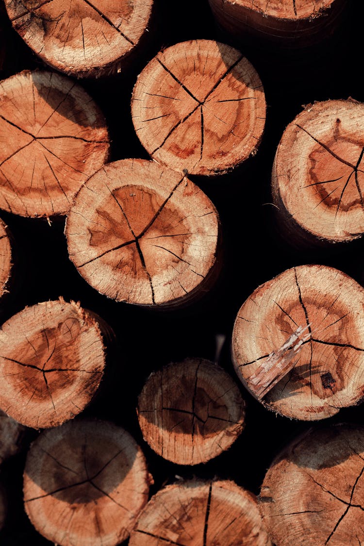 A Stack Of Wood Logs 