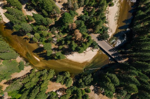 Kostenloses Stock Foto zu bäume, drohne erschossen, fluss