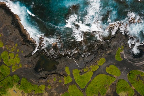 Aerial Shot of a Coastal Area