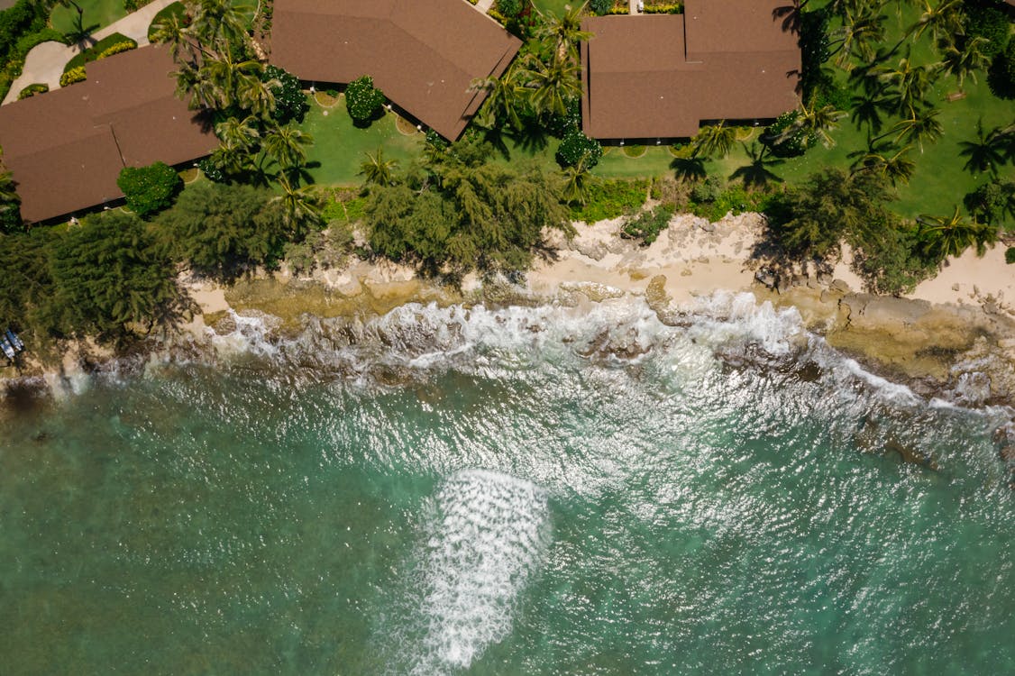 Houses by the Beach