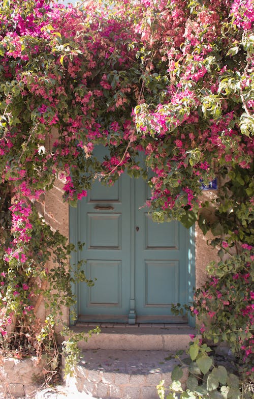 Flowers by a Door
