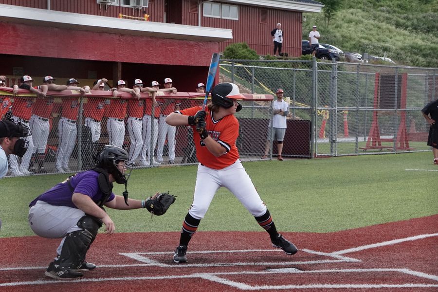 youth batter at the plate with teammates watching