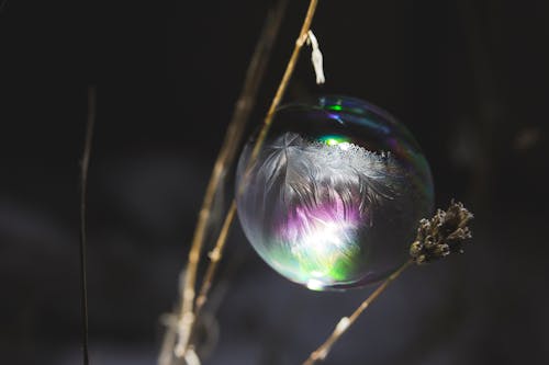Photos gratuites de arc-en-ciel, bulle, bulles gelées