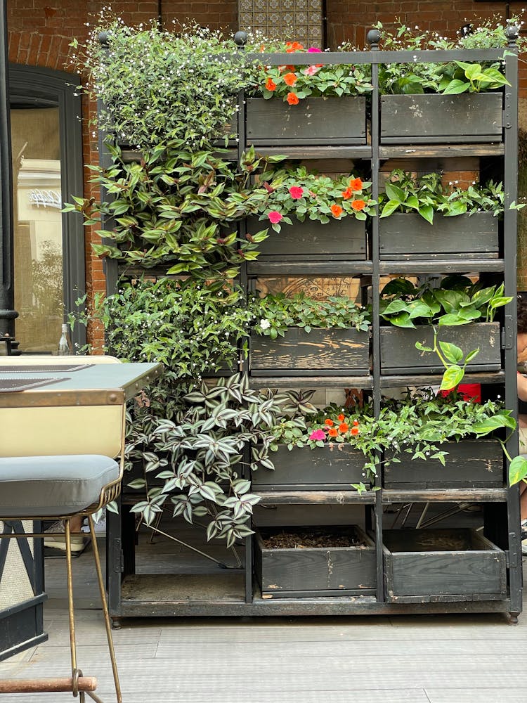 Outdoor Plant Shelf On Deck