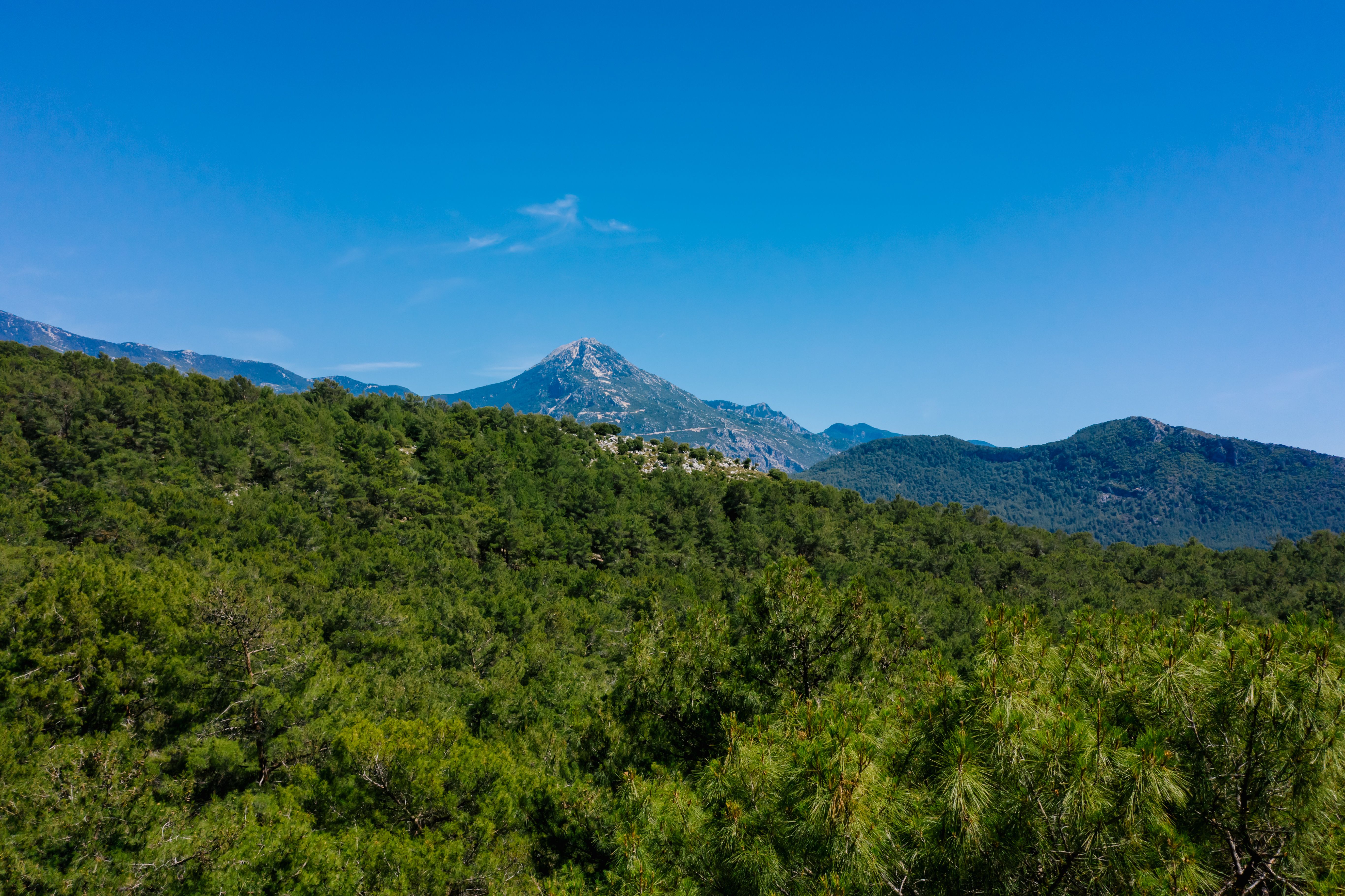 A Green Trees and Mountain Under the Blue Sky · Free Stock Photo