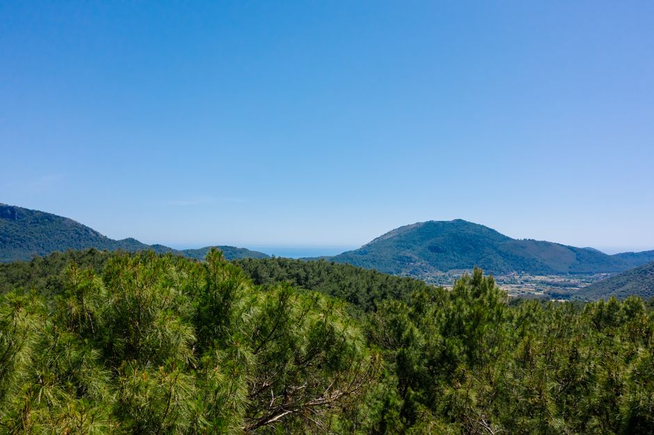 Foto de Monte Singavi