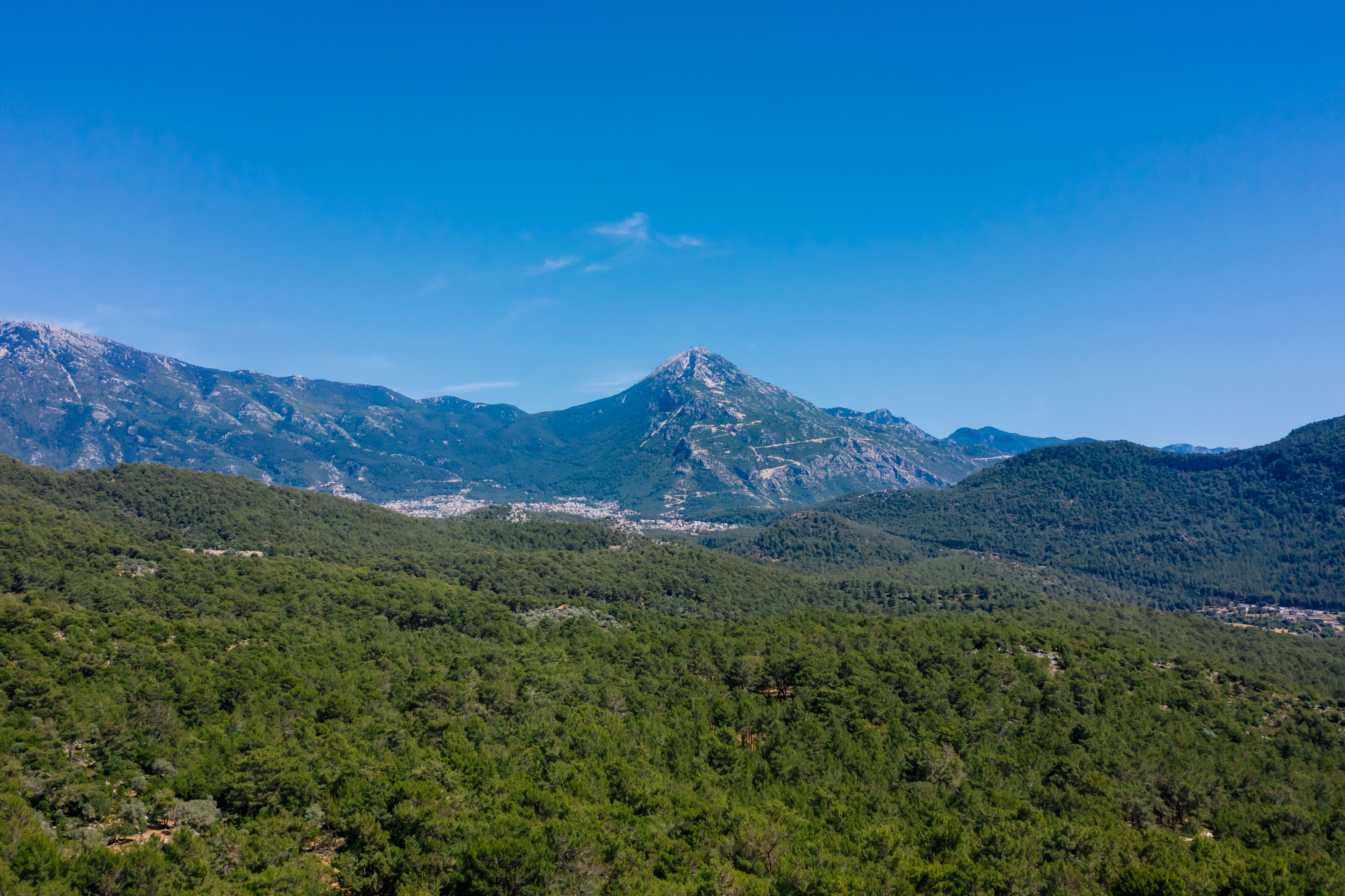A Green Trees and Mountain Under the Blue Sky · Free Stock Photo