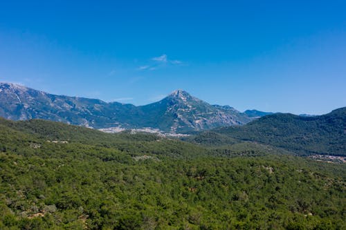 açık hava, arazi, büyüme içeren Ücretsiz stok fotoğraf