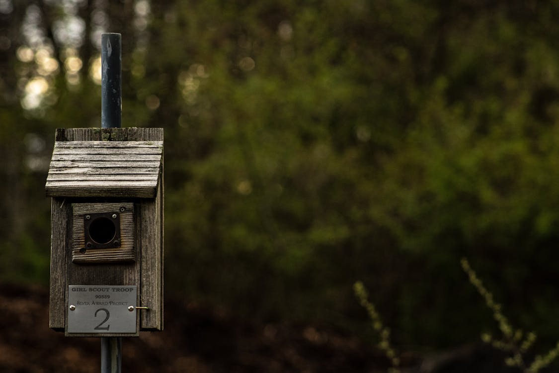 A Close-up Shot of a Wooden Birdhouse