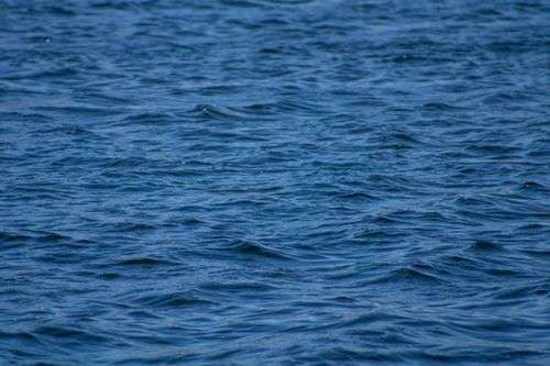 Free A serene view of calm blue ocean waves during daylight. Stock Photo