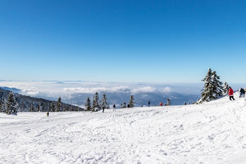 бесплатная Бесплатное стоковое фото с горнолыжный курорт, зима, лыжный склон Стоковое фото