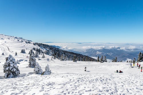 Fotobanka s bezplatnými fotkami na tému chladný, hora, lyžiarske stredisko
