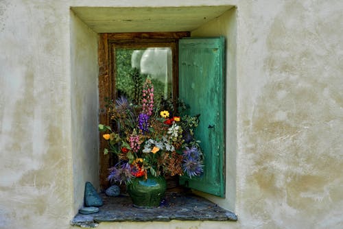 Flowers in Vase on Windowsill