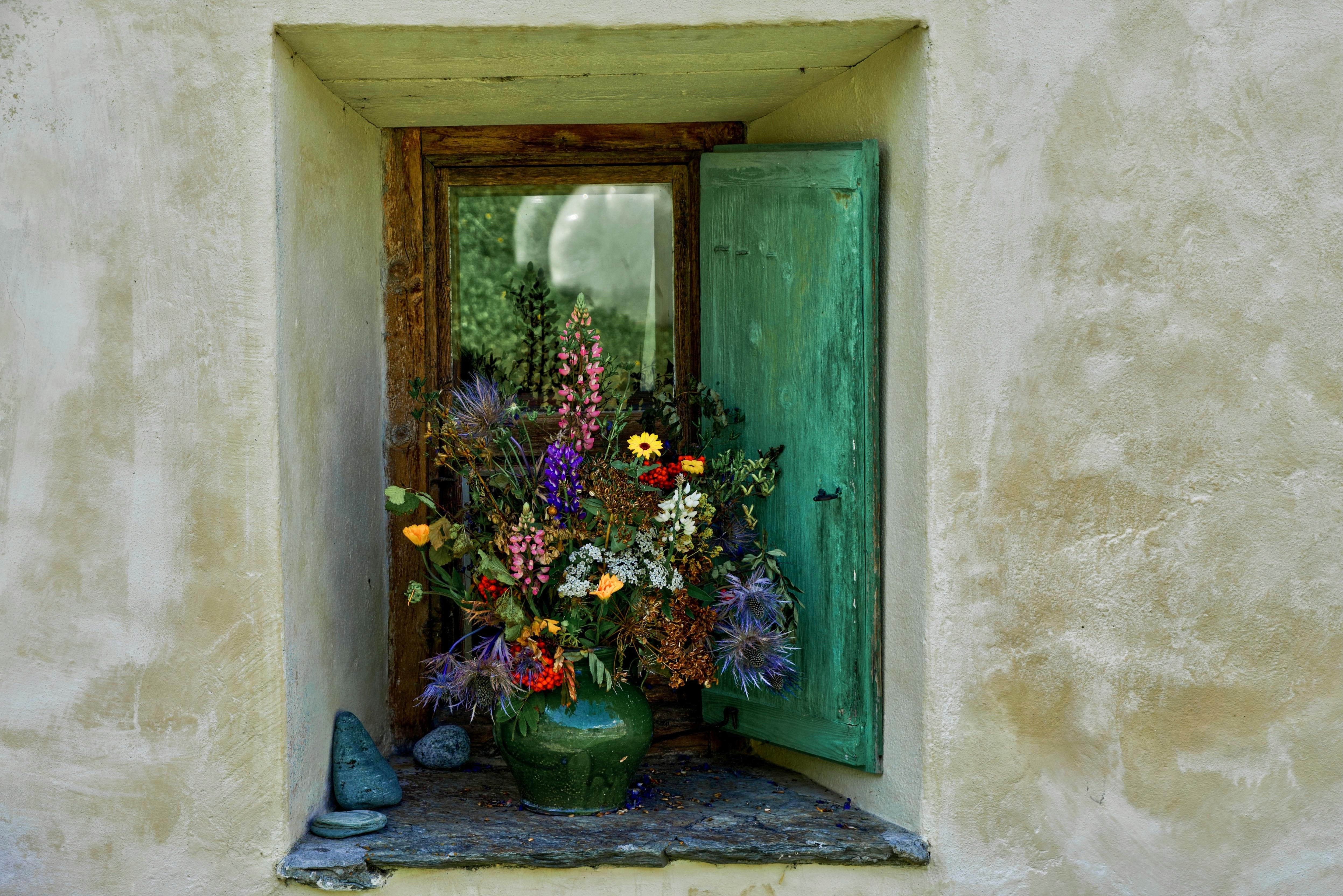 Windows 11 Flower Wallpaper Photos, Download The BEST Free Windows 11