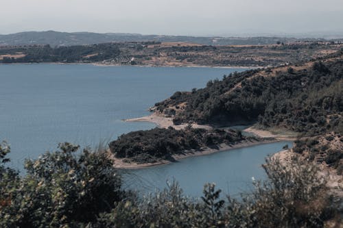 An Aerial Shot of a Shore