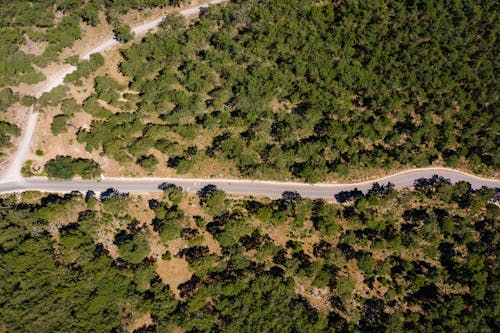Foto stok gratis fotografi udara, jalan, pohon