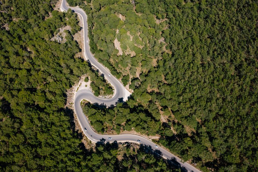 Aerial view of a winding road through dense forest by Mikhail Nilov on Pexels