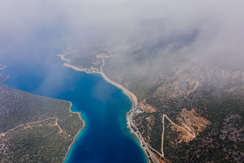 Aerial View of Lake Surrounded by Trees