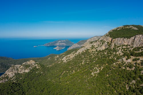 Immagine gratuita di acqua, alberi, cielo azzurro