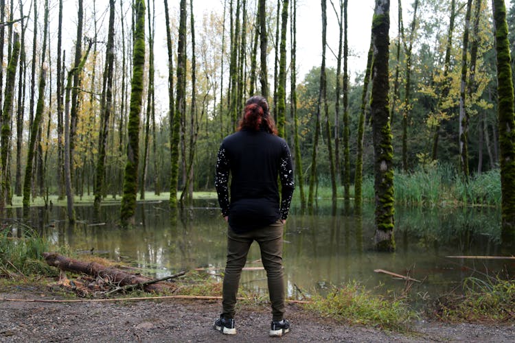 A Back View Of A Person Standing In Front Of The Lake With Tree Trunks