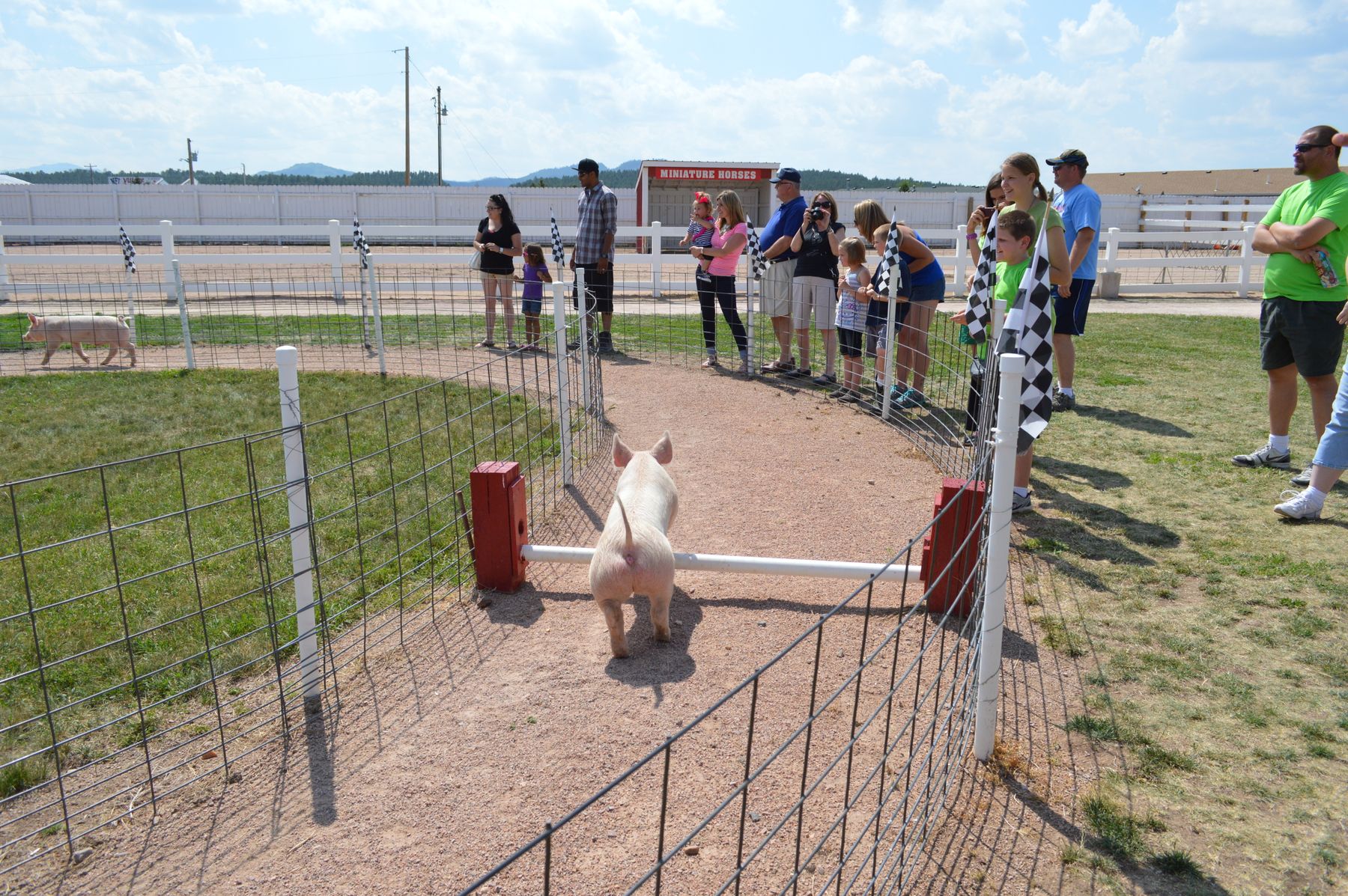 Robertson County Fairgrounds in October: Weather, Events, and Where to Stay in Springfield, Tennessee