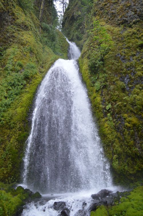 Free Breathtaking vertical shot of a cascading waterfall in Oregon's lush forest. Ideal for nature lovers. Stock Photo