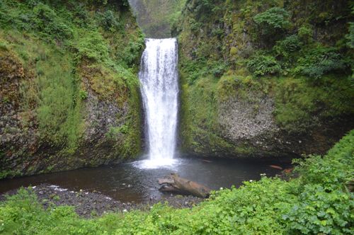 Free A stunning waterfall cascading in a lush, green forest in Oregon, USA. Perfect nature scene. Stock Photo