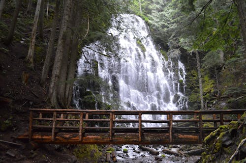 A Wooden Bridge Near the Waterfall Between Green Trees in the Forest