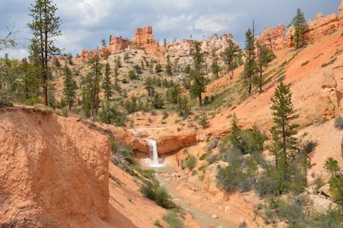 Бесплатное стоковое фото с водопад, деревья, живописный