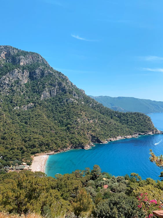 An Aerial Photography of Green Trees on Mountain Near the Body of Water Under the Blue Sky