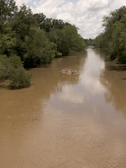 People Kayaking on a Lake Between Green Trees