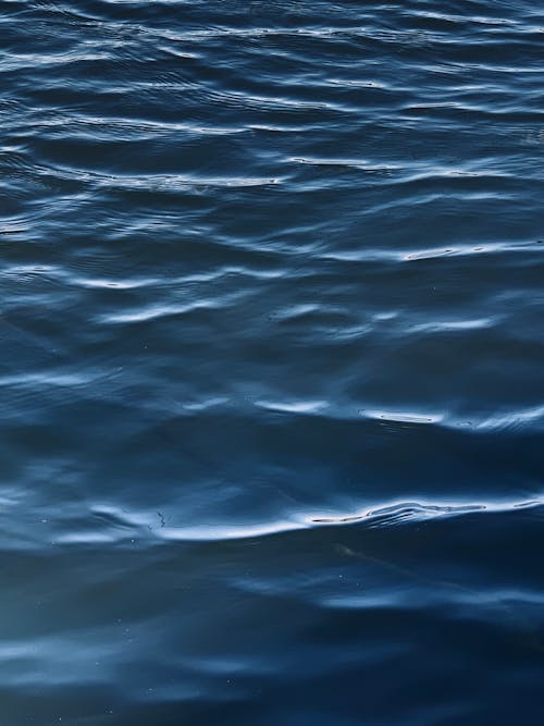 Close-up of Calm Water Surface