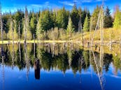 在魁北克德莱赫，宁静的森林湖映照着常绿树木