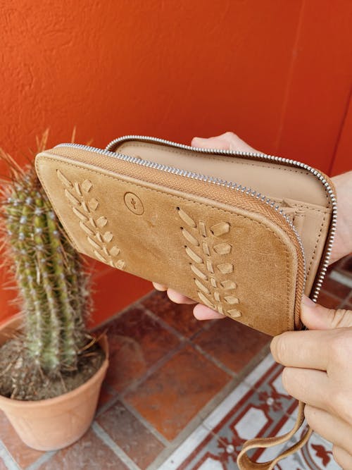 Fotos de stock gratuitas de cactus, cartera, de cerca