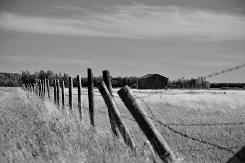 A Grayscale of a Barbed Wire Fence