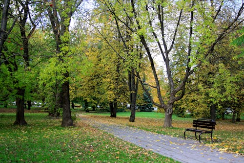 Foto profissional grátis de banco de parque, Estônia, parque