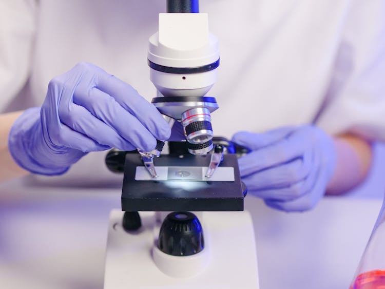 Close-Up View Of A Person Examining A Microscope Slide