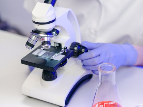 Free Close-Up View of a Person Examining a Microscope Slide Stock Photo